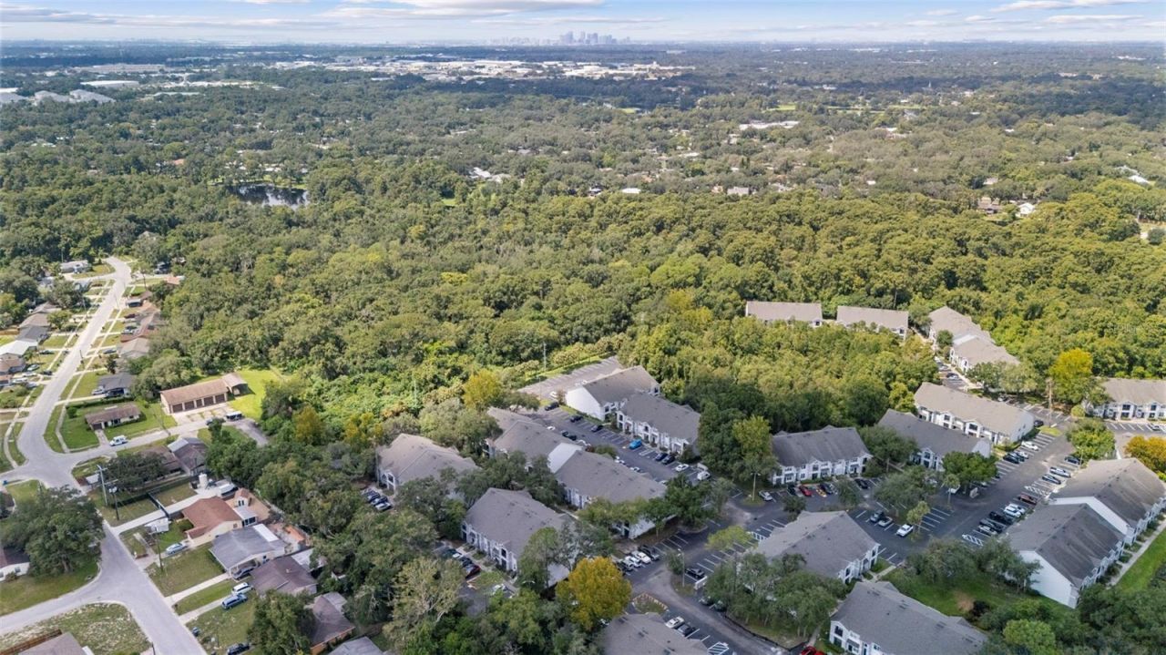 0 Allview Drive , Tampa, FL 33637 Photo