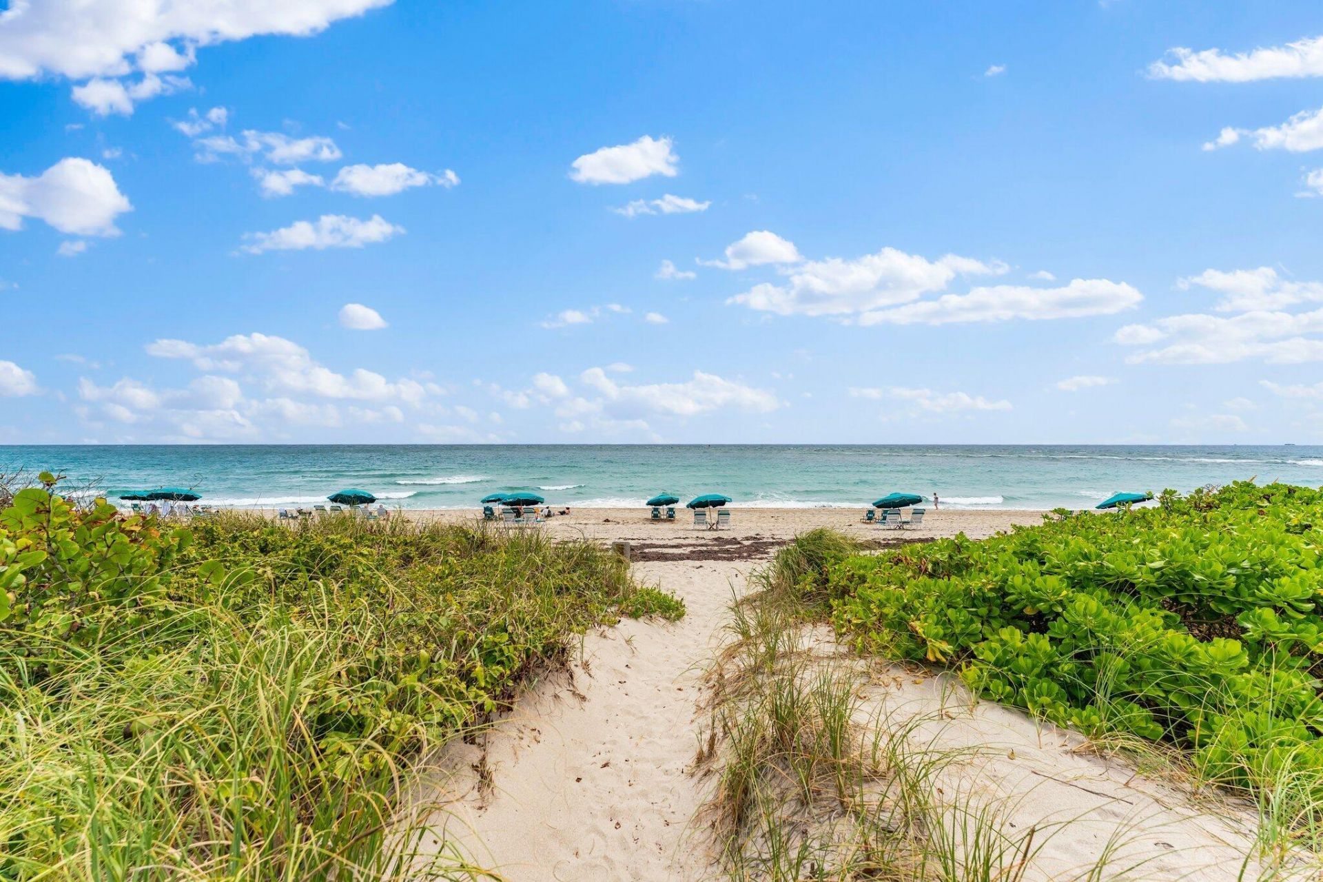 33 S Ocean Avenue, Unit 206, Palm Beach Shores, FL 33404 Photo