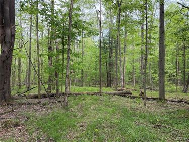 Kellogg Hill Road, South Dayton, NY 14138