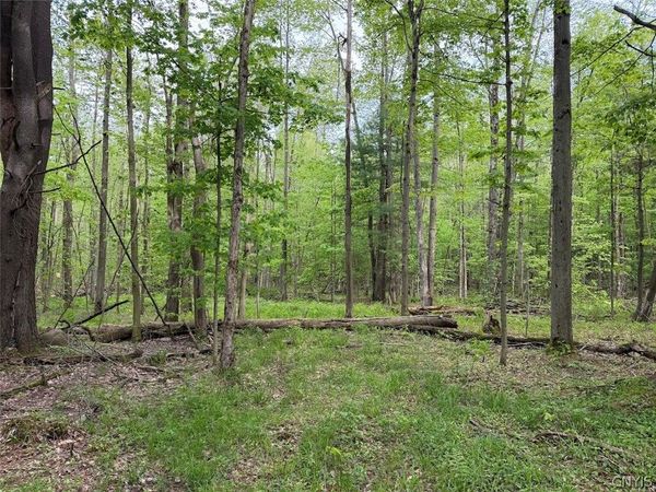 Kellogg Hill Road , South Dayton, NY 14138