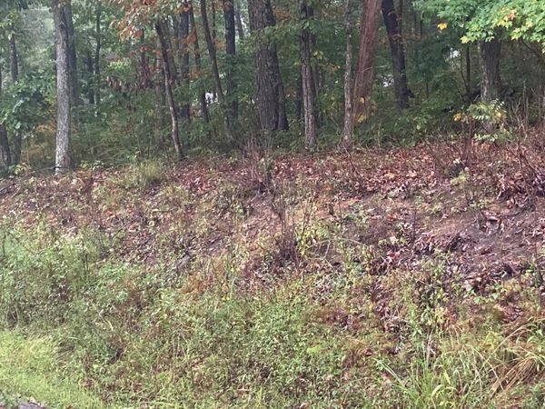 127 Brokenwood Lane, Crossville, TN 38558