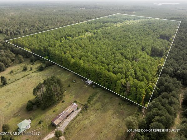 Arthur Lowe Road, Lumberton, MS 39455