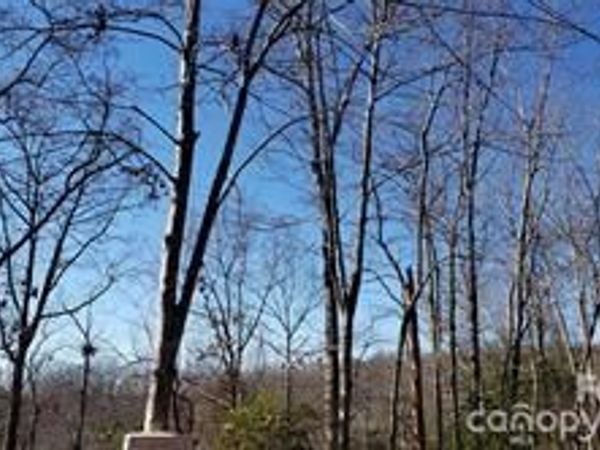 TBD Galax Lane , Brevard, NC 28712