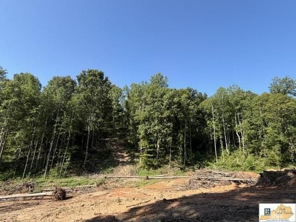 TRACT 10 Frenchman Knob Road , Bonnieville, KY 42713