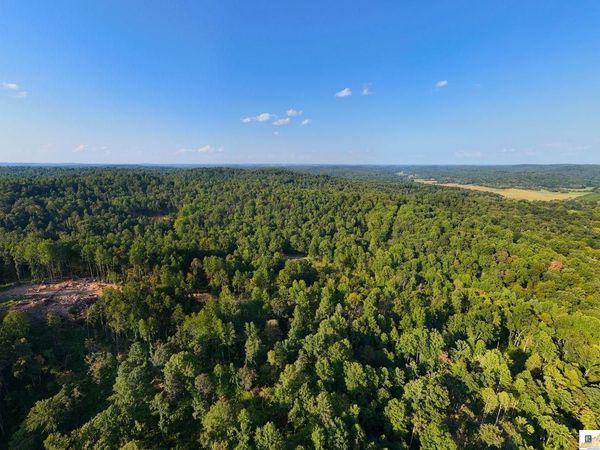 TRACT 10 Frenchman Knob Road , Bonnieville, KY 42713