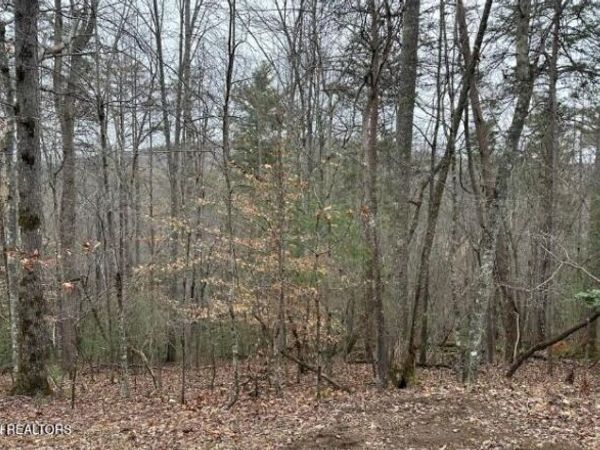 173 Pineridge Loop, Fairfield Glade, TN 38558