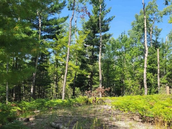 14542 Shoreline Drive, Wolverine, MI 49799