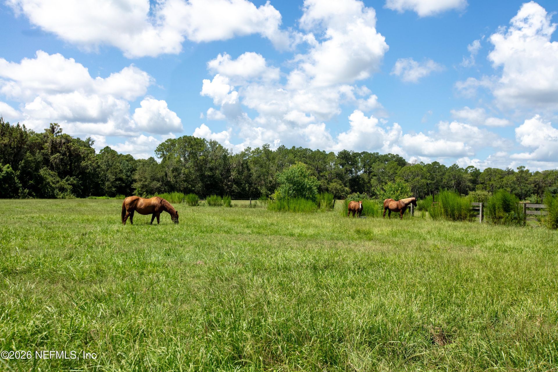 0 NW County Road 225, Starke, FL 32091 Photo