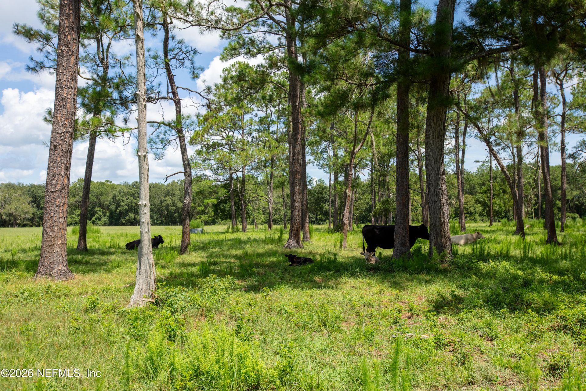 0 NW County Road 225, Starke, FL 32091 Photo
