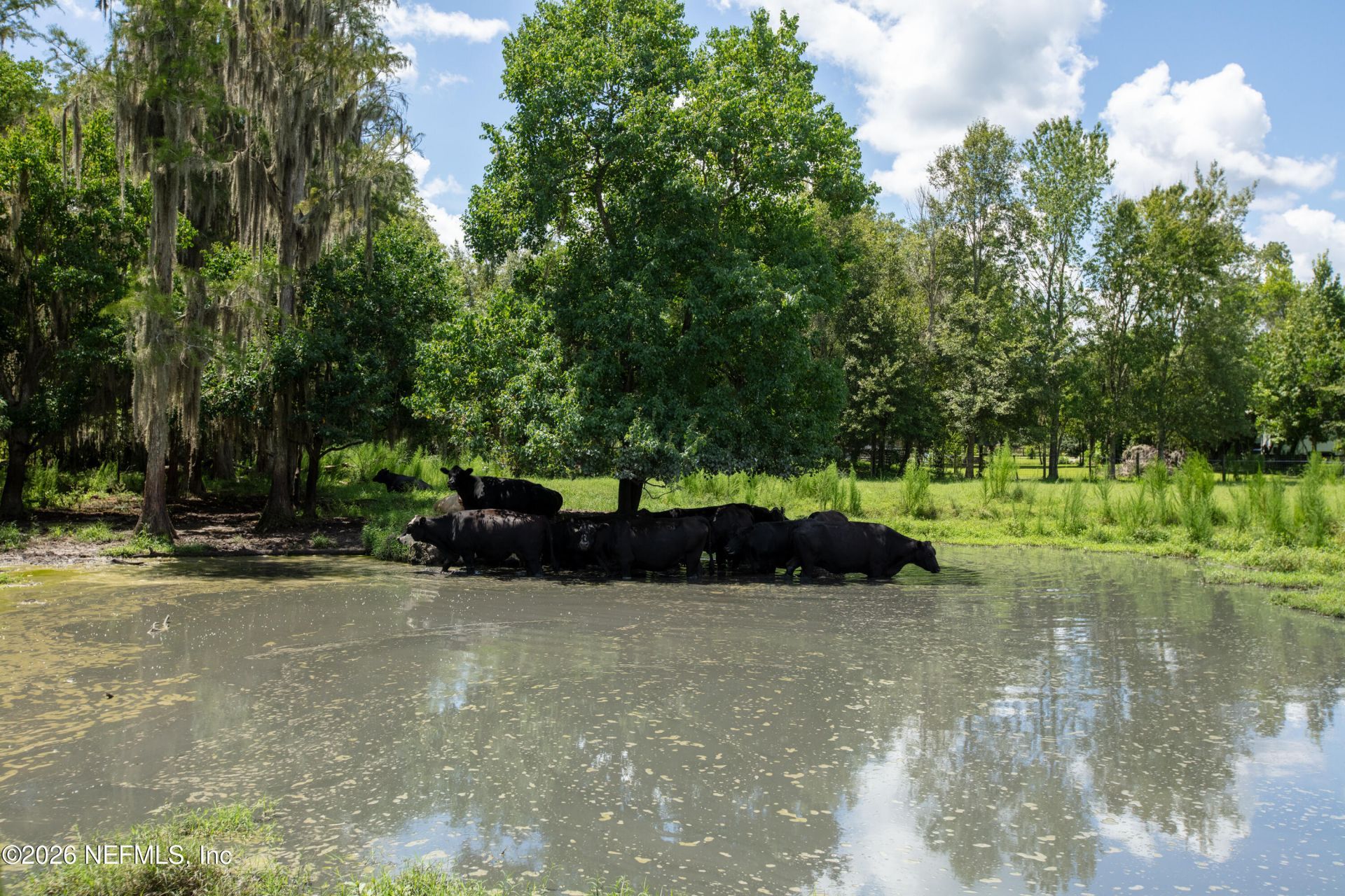 0 NW County Road 225, Starke, FL 32091 Photo