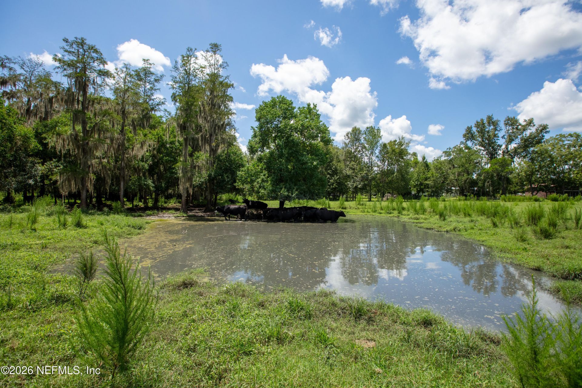 0 NW County Road 225, Starke, FL 32091 Photo