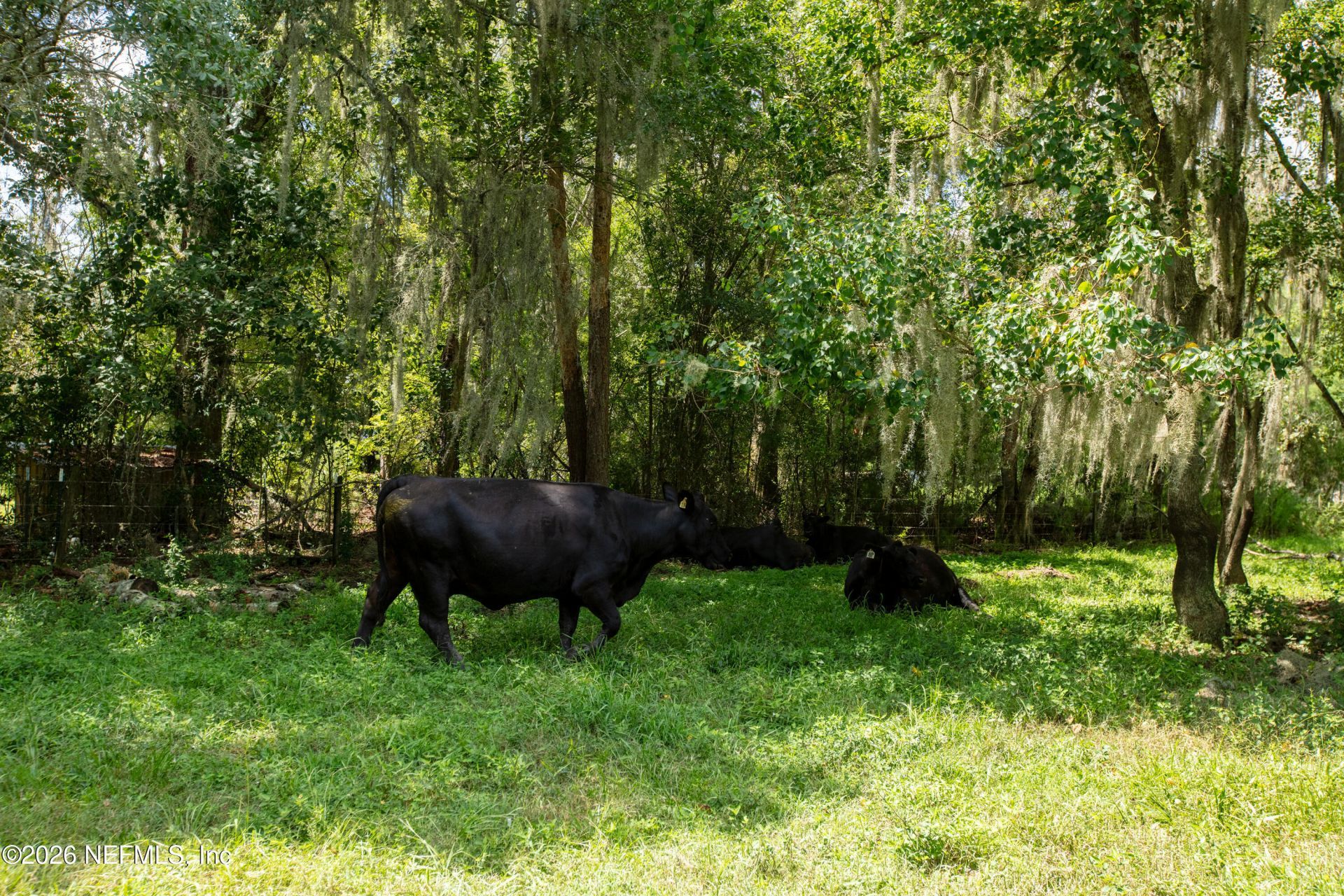0 NW County Road 225, Starke, FL 32091 Photo
