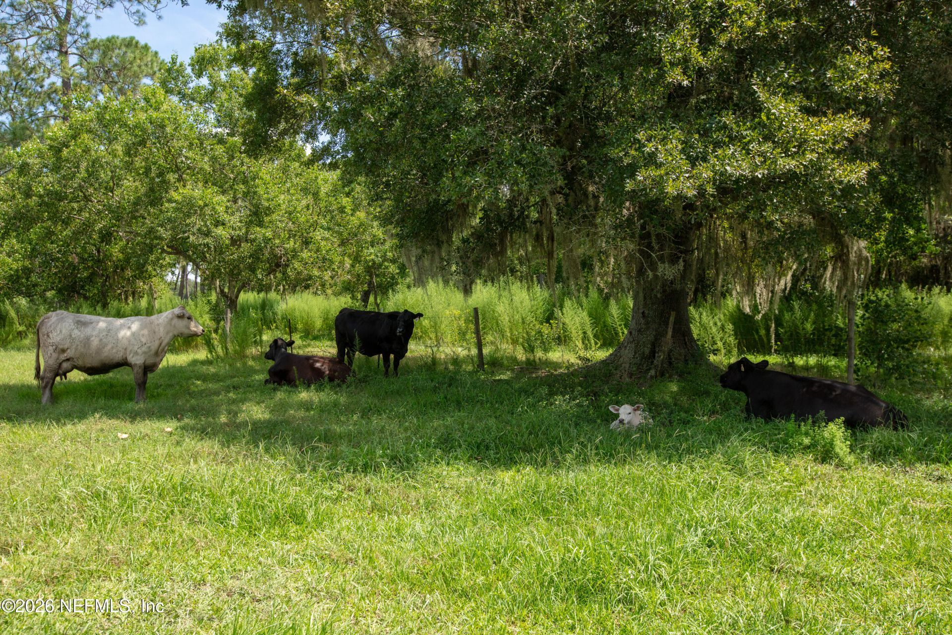 0 NW County Road 225, Starke, FL 32091 Photo