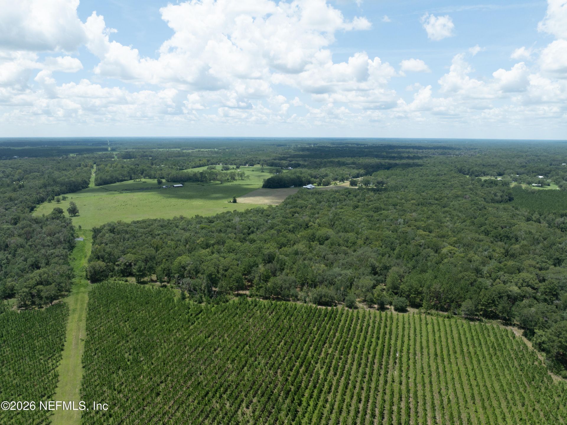 0 NW County Road 225, Starke, FL 32091 Photo