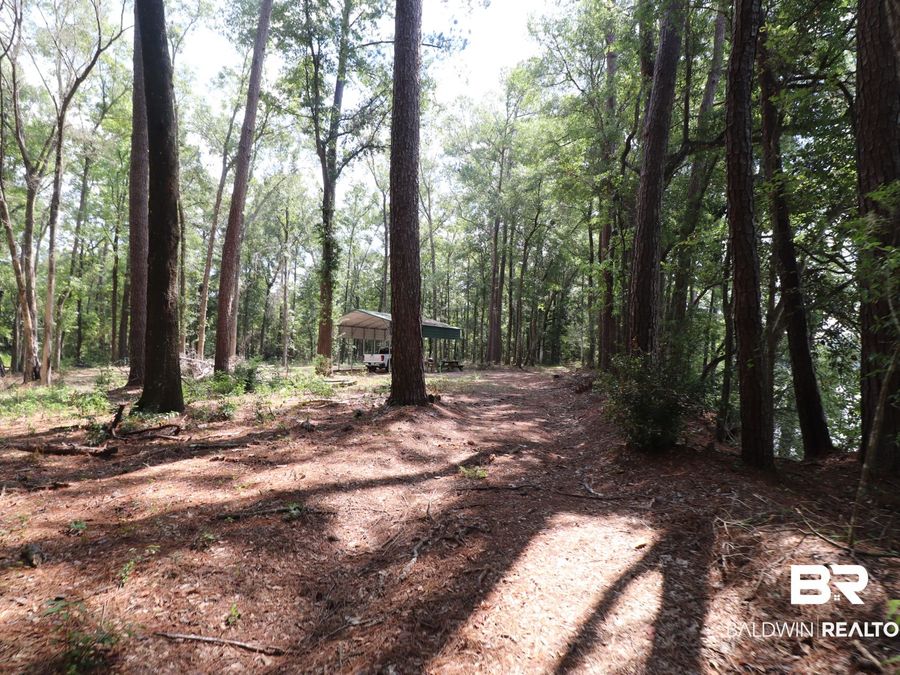 Property Image 46