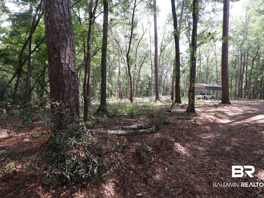 Property Image 48