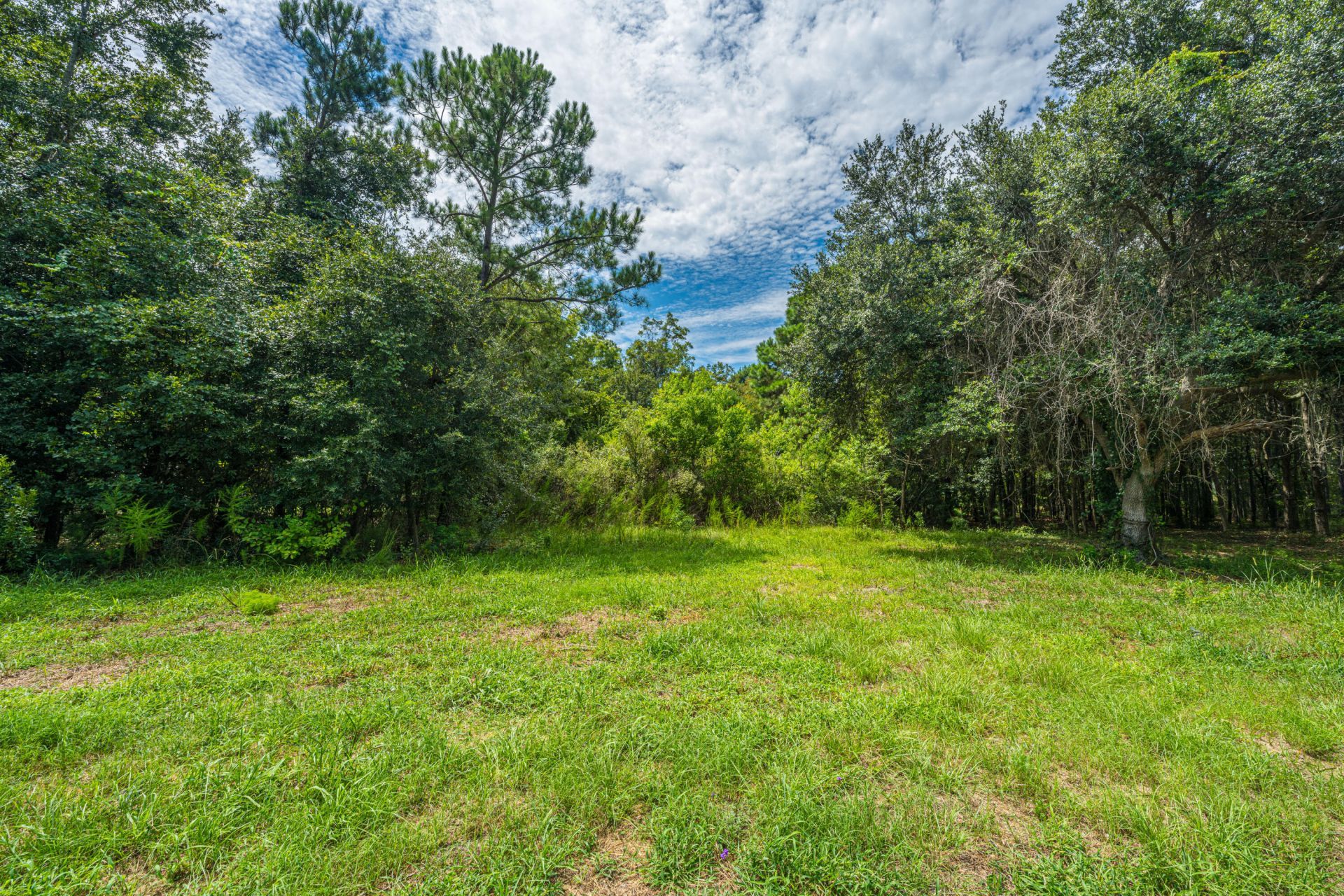 0 Holly Creek Road Photo 10