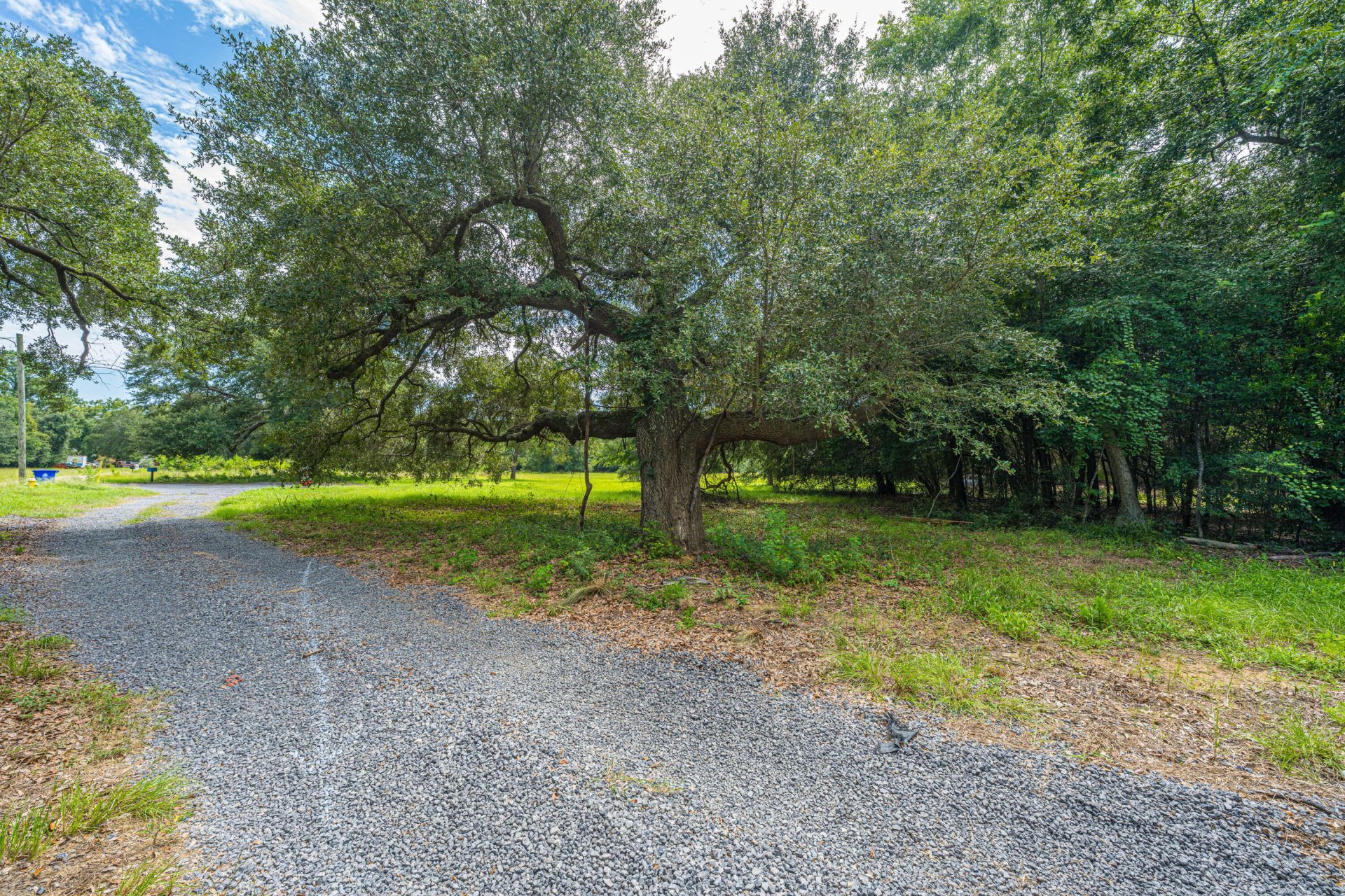 0 Holly Creek Road Photo 12