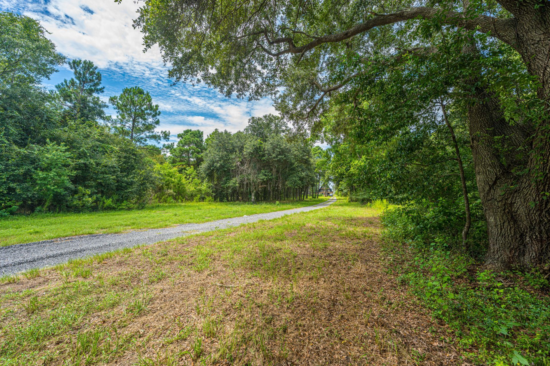 0 Holly Creek Road Photo 13