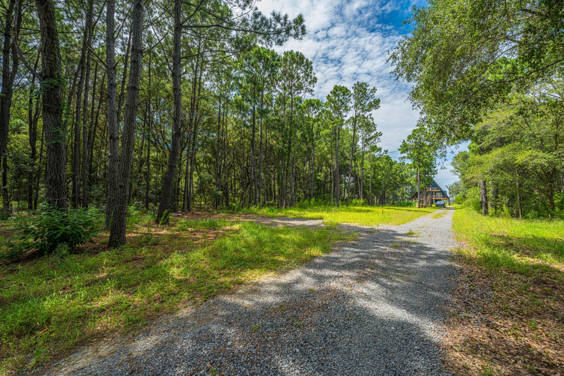 0 Holly Creek Road Photo 7