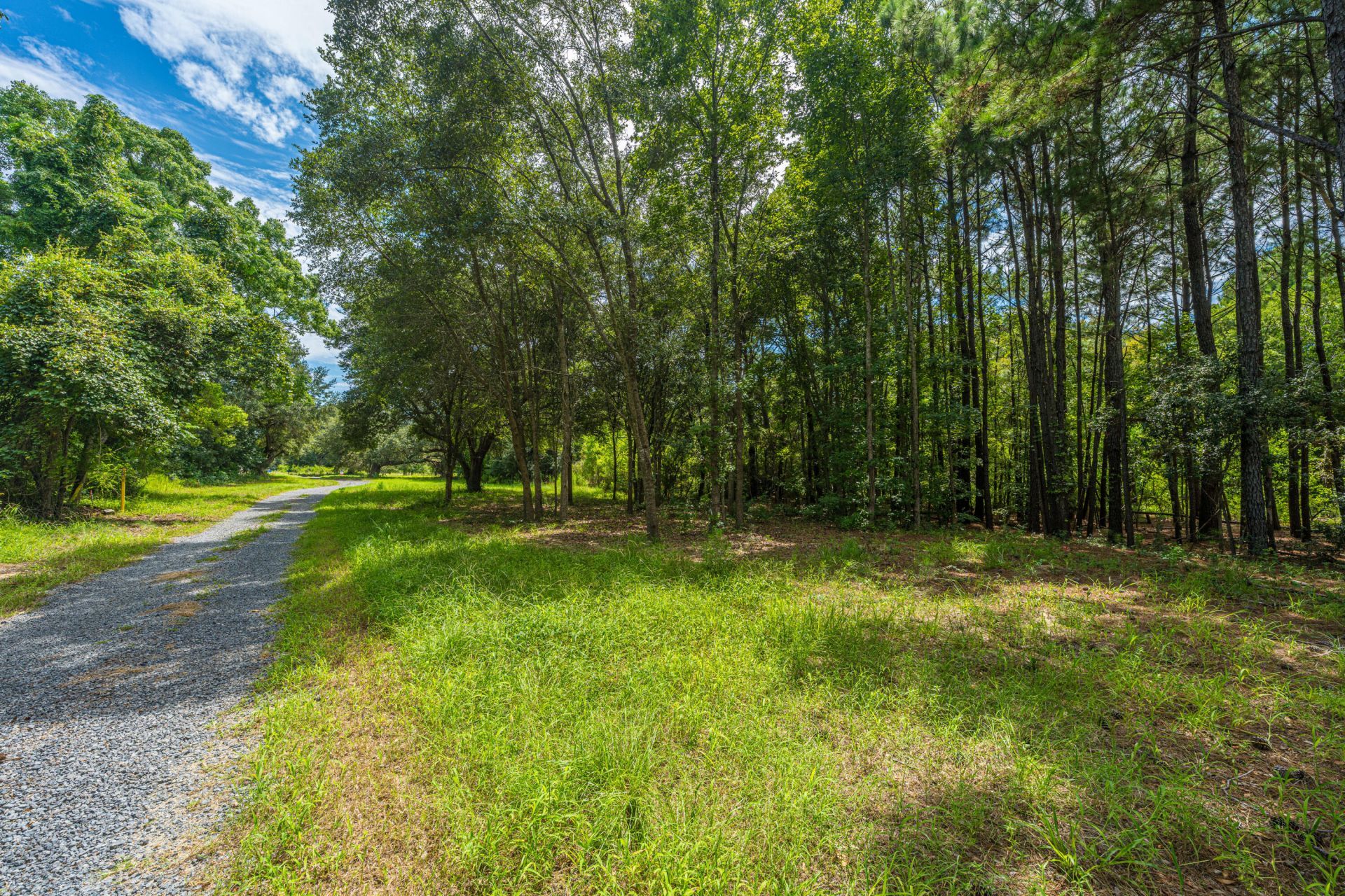 0 Holly Creek Road Photo 8