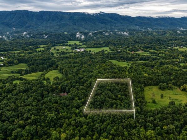 1903 Tree Tops Lane, Seymour, TN 37865
