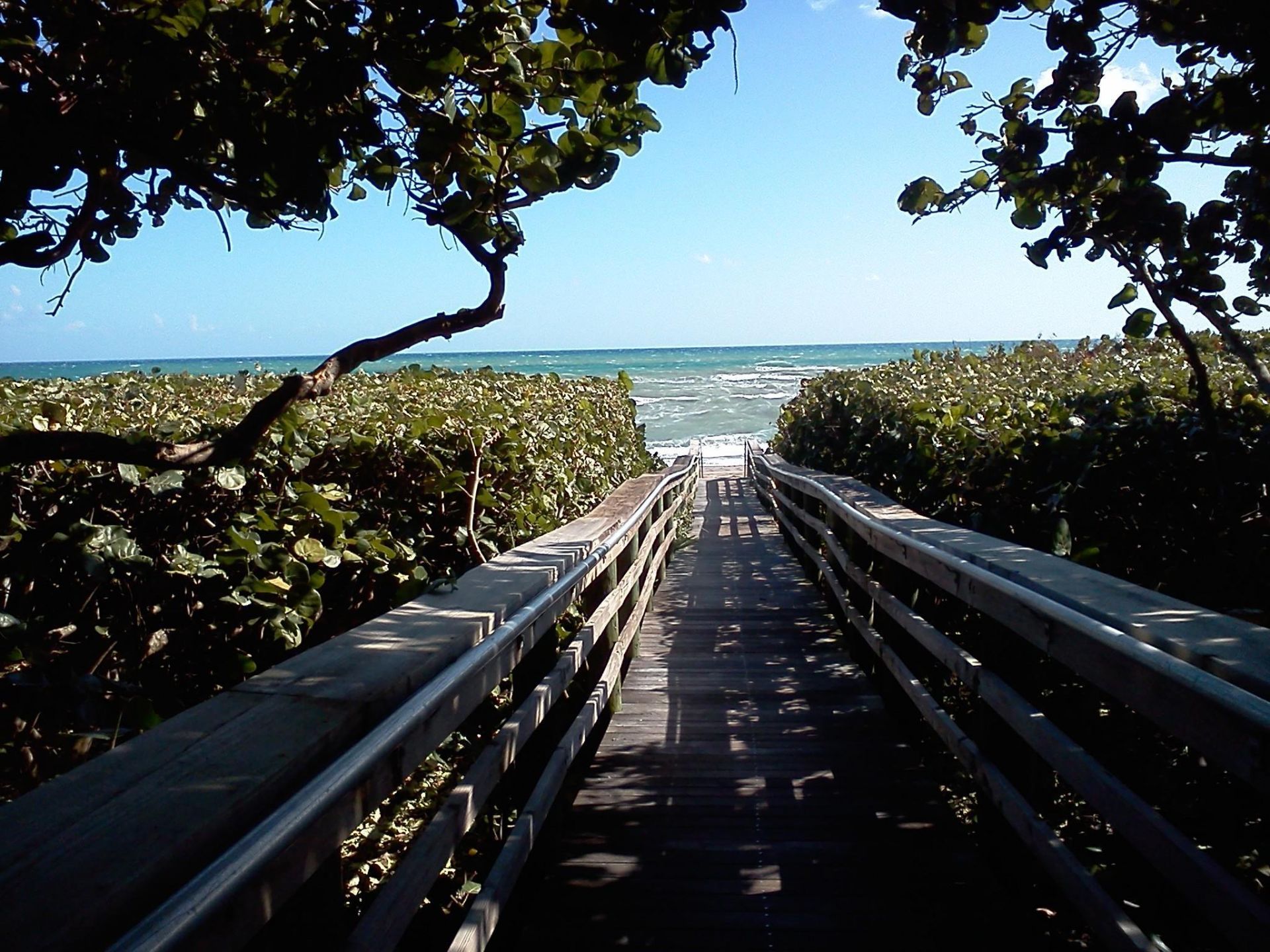 717 S Us Hwy 1, Unit 304, Jupiter, FL 33477 Photo