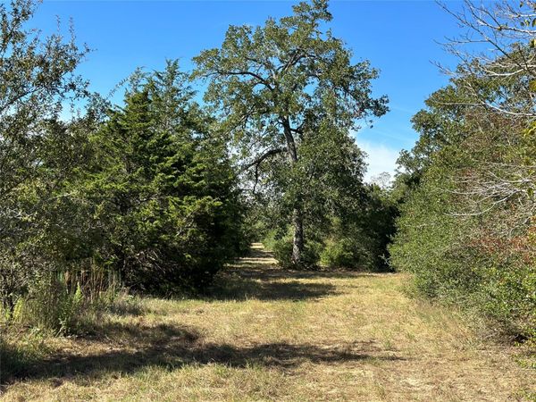 105 Colony Line TRL, Dale, TX 78616