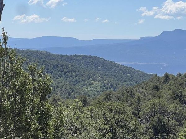 Lot 4 Peacock Rd, Trinidad, CO 81082