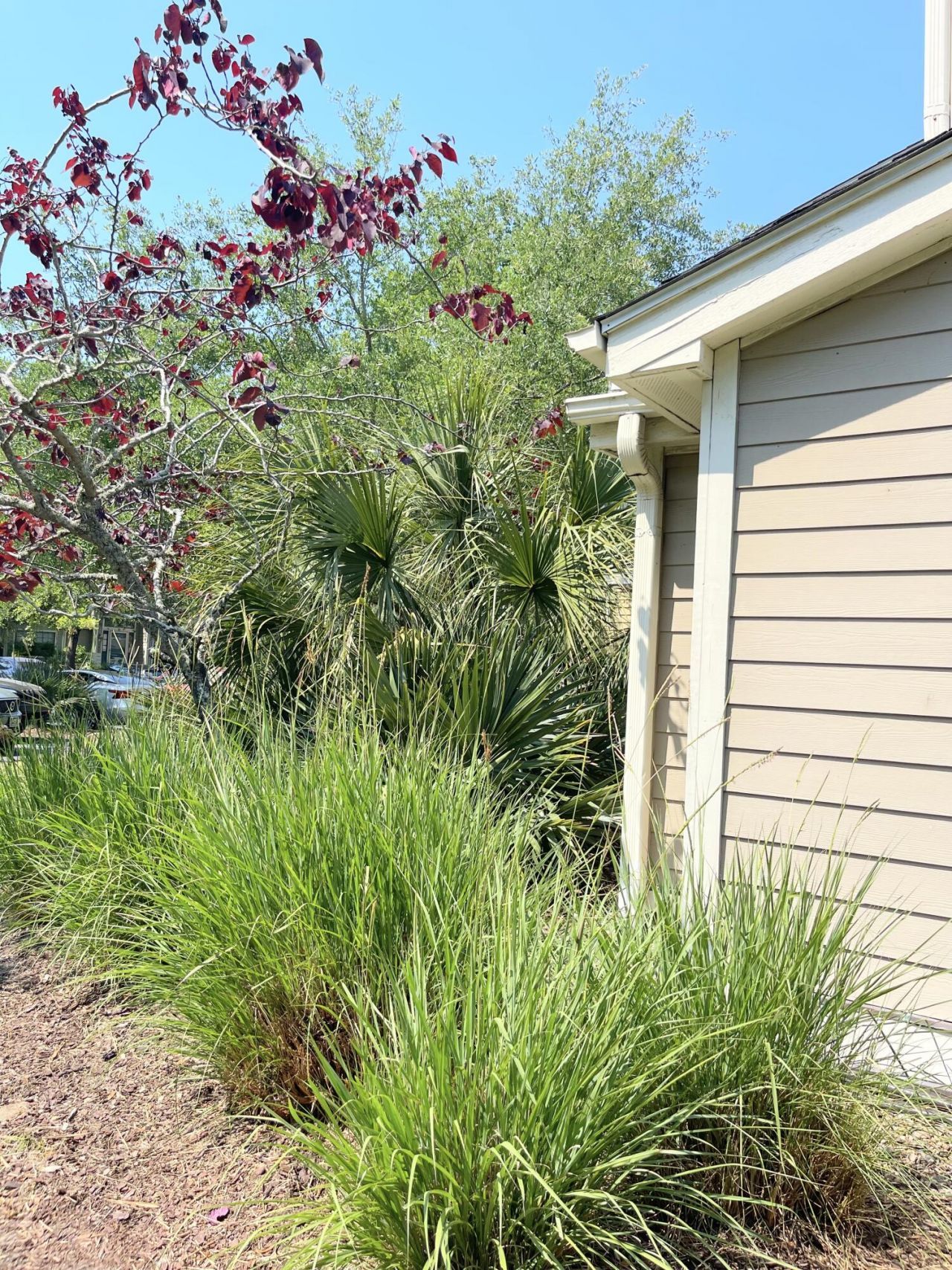 1809 Parc Vue Photo 44