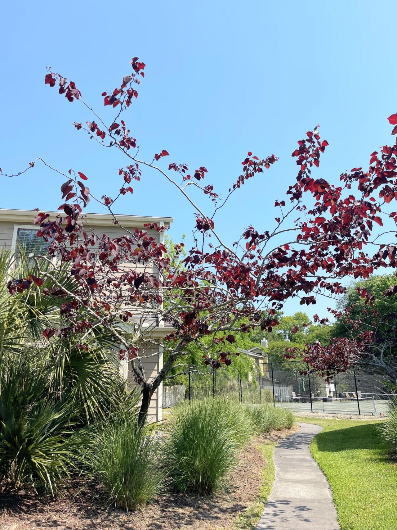 1809 Parc Vue Photo 46
