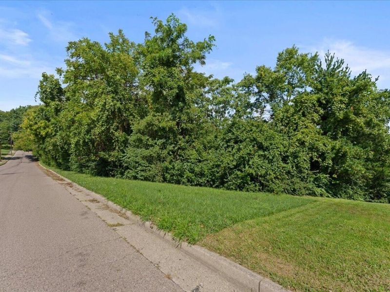 0 Kentucky Drive, Newport, KY 41071 Photo 12