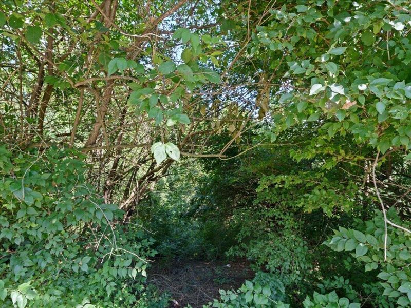 0 Kentucky Drive, Newport, KY 41071 Photo 13