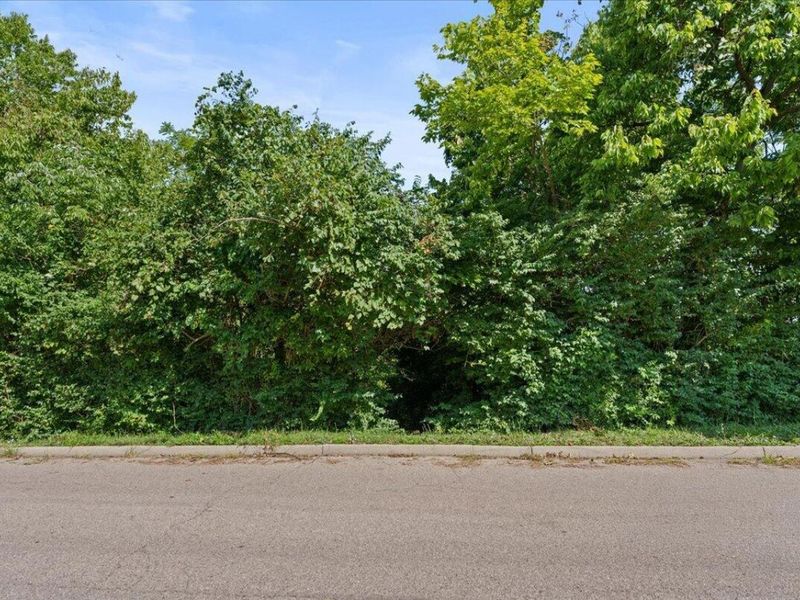 0 Kentucky Drive, Newport, KY 41071 Photo 14