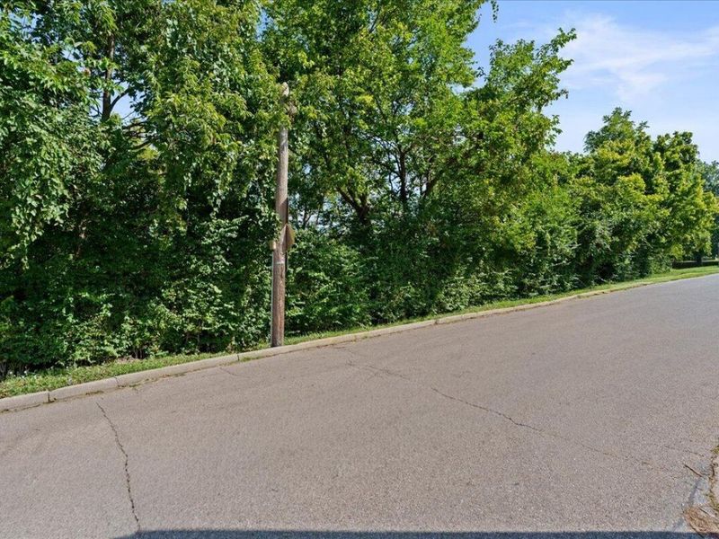 0 Kentucky Drive, Newport, KY 41071 Photo 15