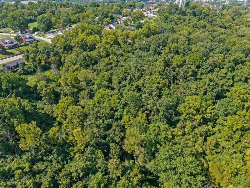 0 Kentucky Drive, Newport, KY 41071 Photo 5