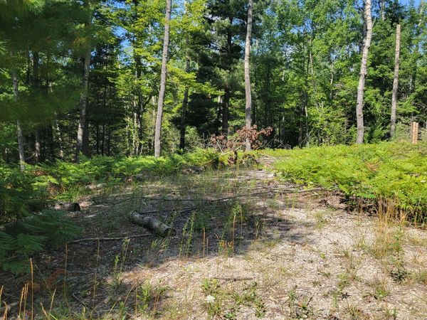 14542 W Shoreline Drive, Wolverine, MI 49799