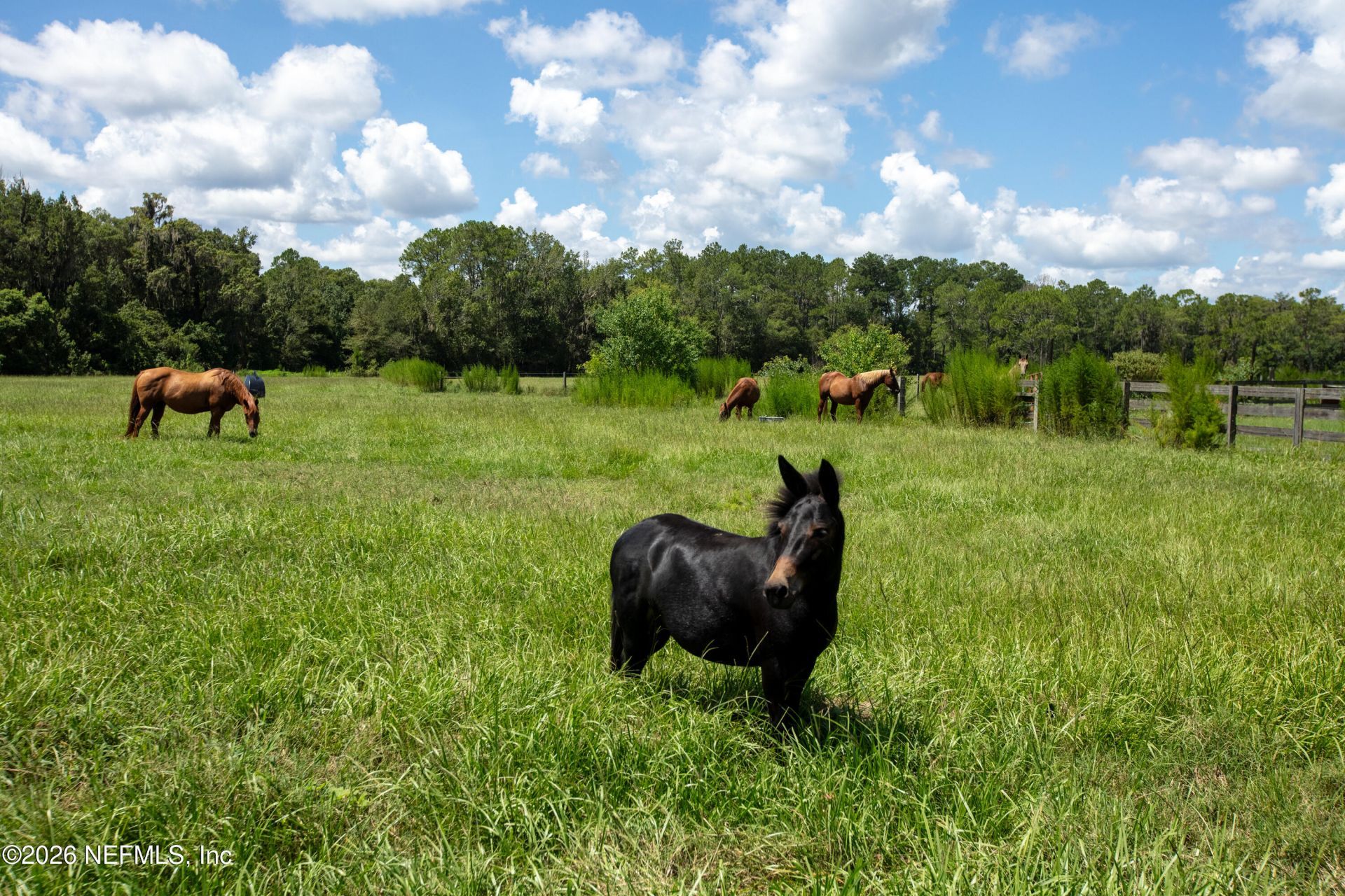 9284 NW County Road 225, Starke, FL 32091 Photo