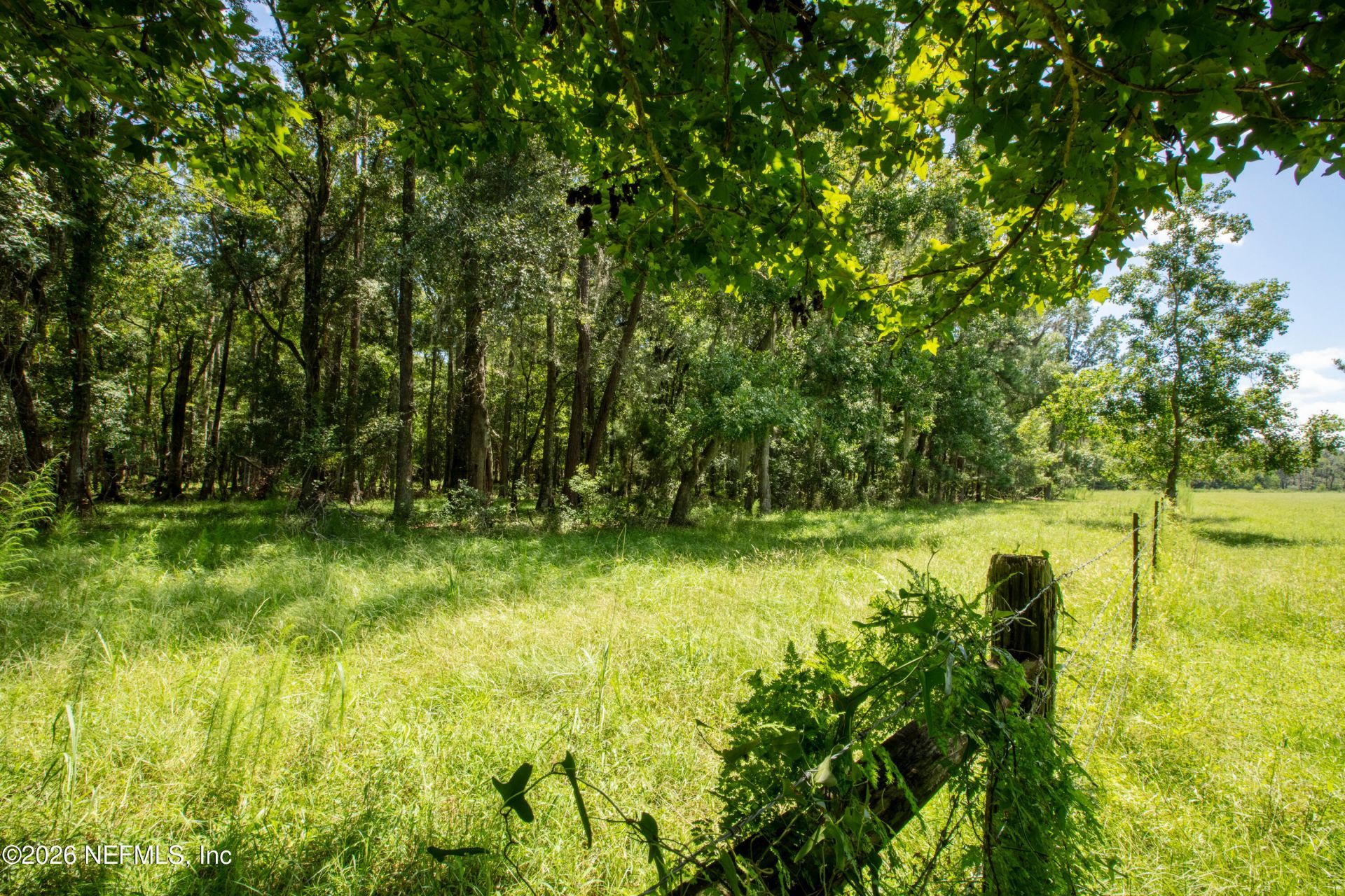 9284 NW County Road 225, Starke, FL 32091 Photo