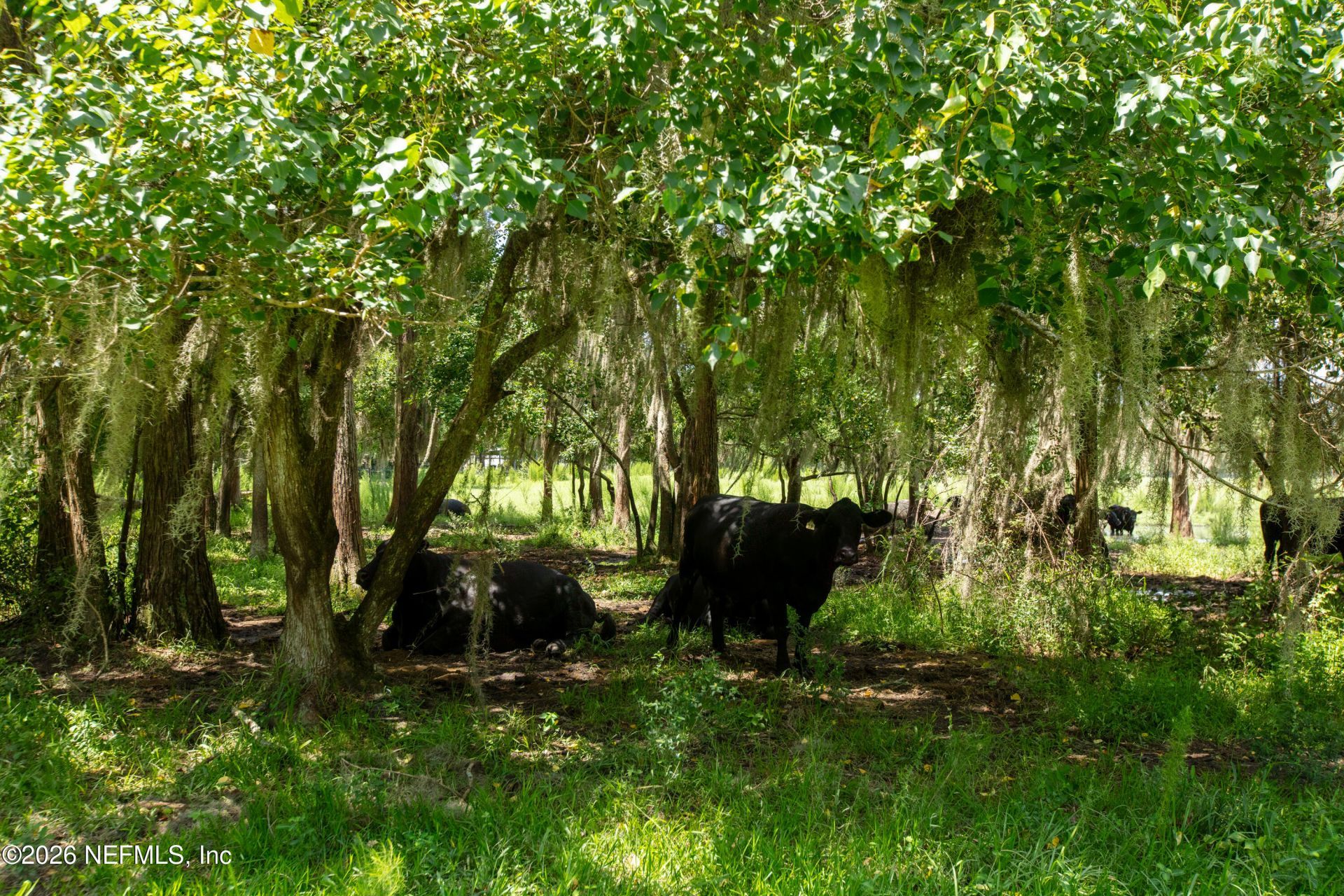 9284 NW County Road 225, Starke, FL 32091 Photo