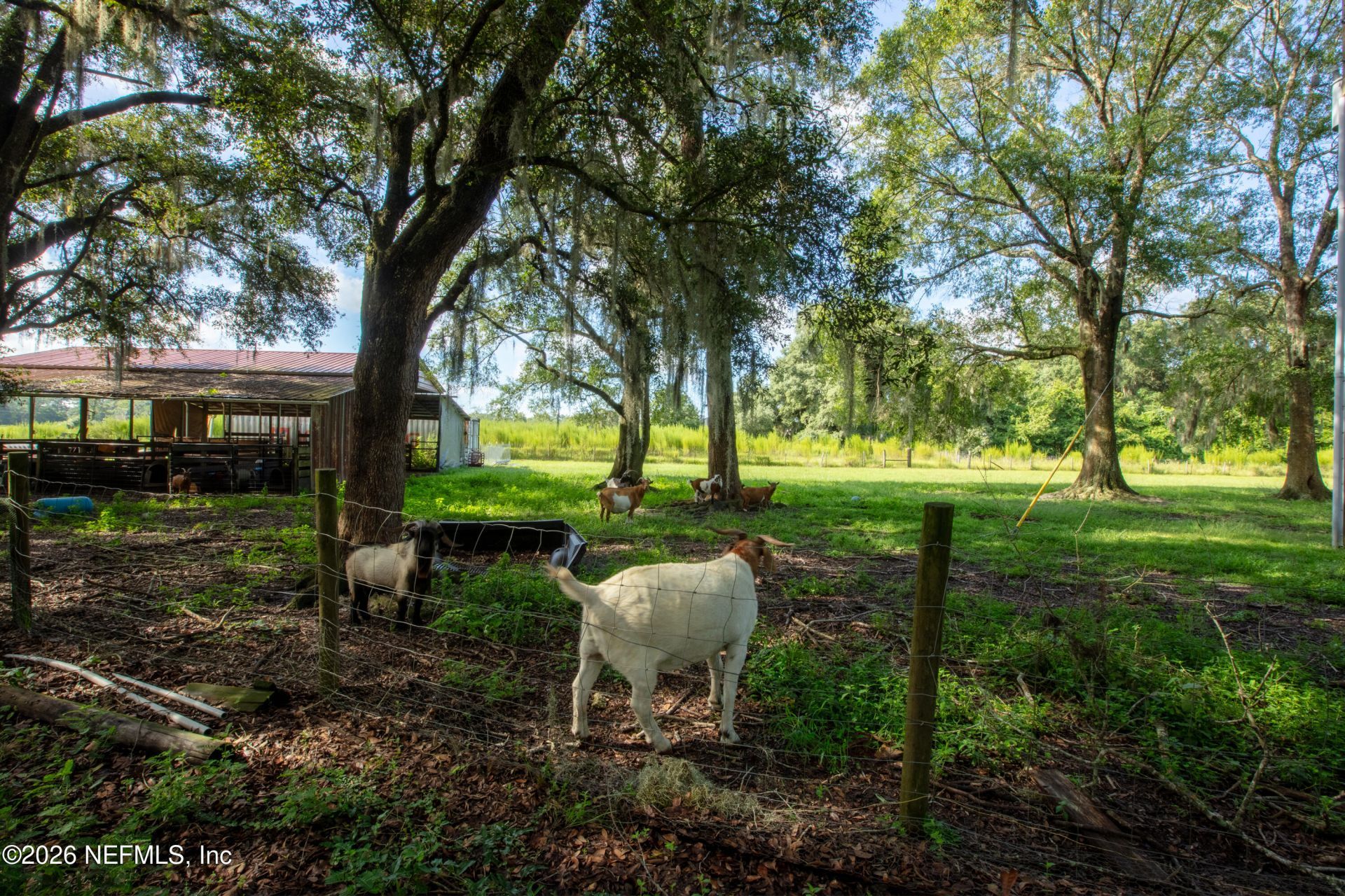 9284 NW County Road 225, Starke, FL 32091 Photo