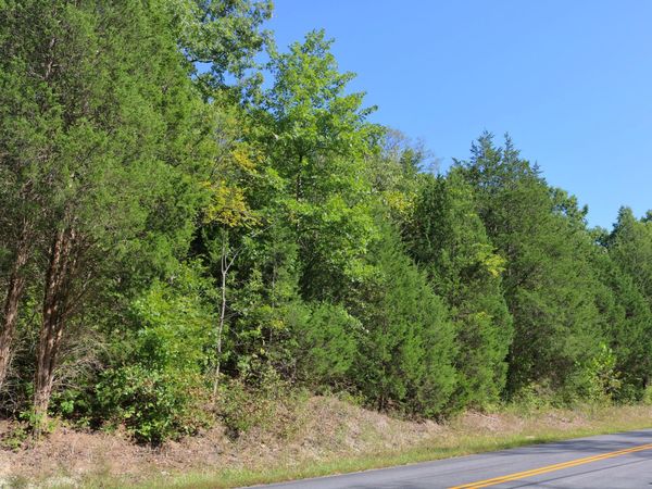 2025 Ky Highway 184 (Walnut Valley) Road, Ghent, KY 41045