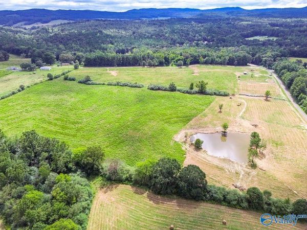 1470 Chamblee Mill Road, Blountsville, AL 35031