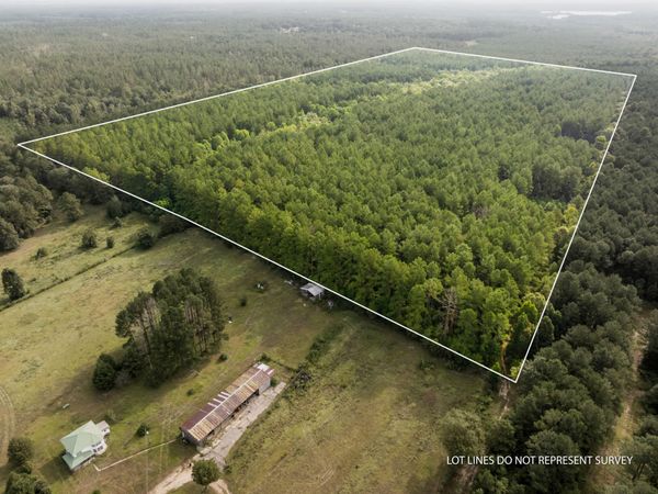 80+/-AC Arthur Lowe Rd., Lumberton, MS 39455