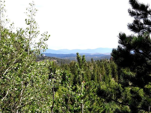 115 Wenro Ct, Red Feather Lakes, CO 80545