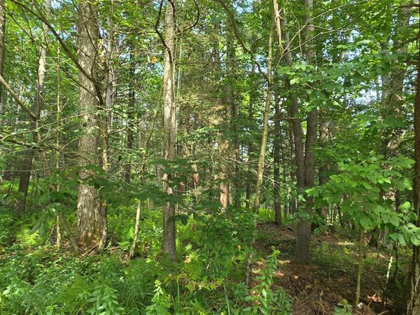 Lot 6 NYS 52 , Narrowsburg, NY 12764