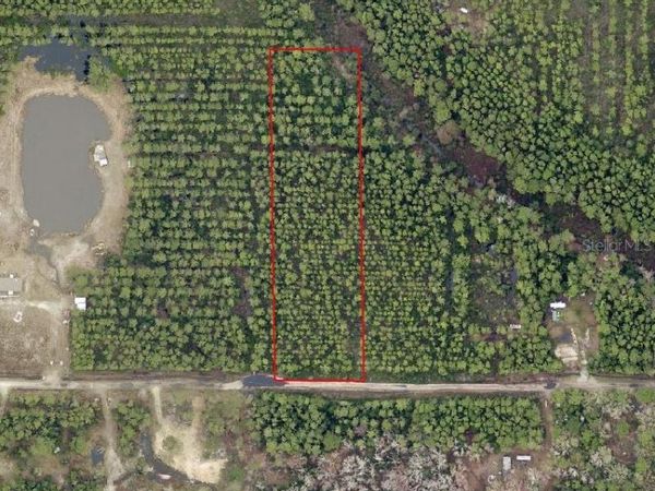 NE 215TH STREET , FORT MC COY, FL 32134