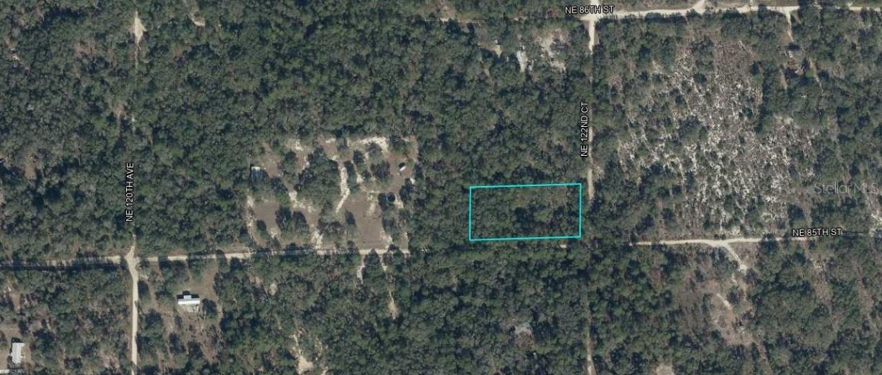 Ne 85th Street, Bronson, FL 32621 Photo