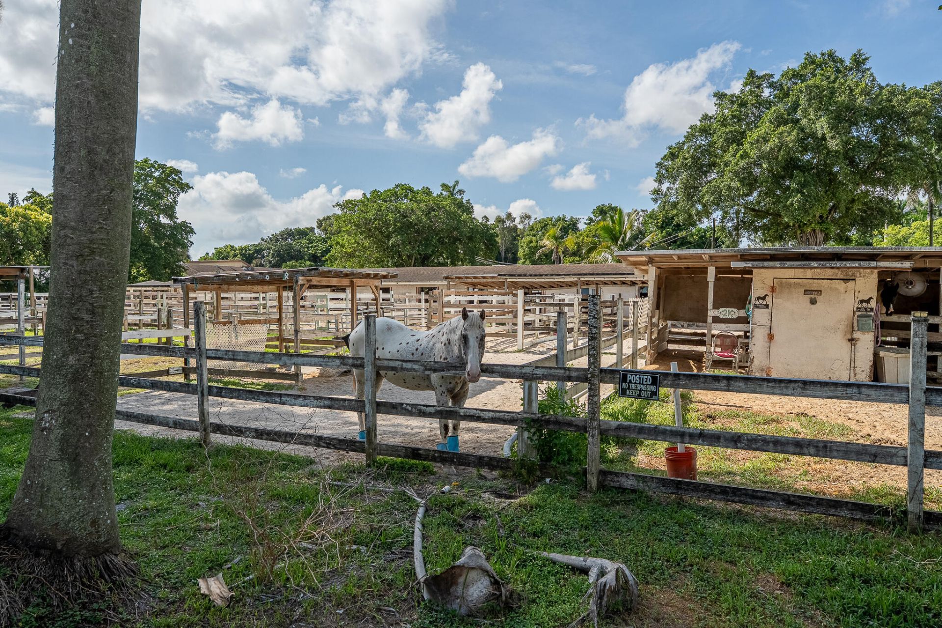 5100 SW 64th Avenue, Unit 204A, Davie, FL 33314 Photo