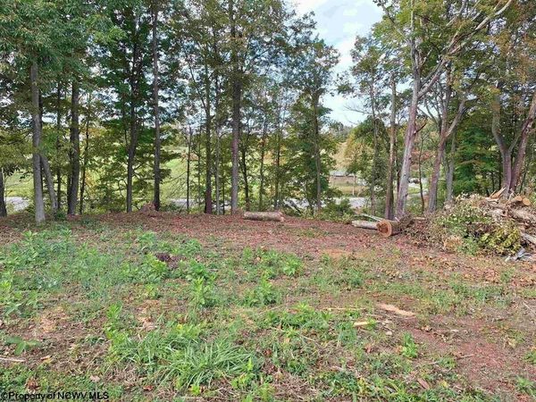 TBD Bluebell Drive, Clarksburg, WV 26301